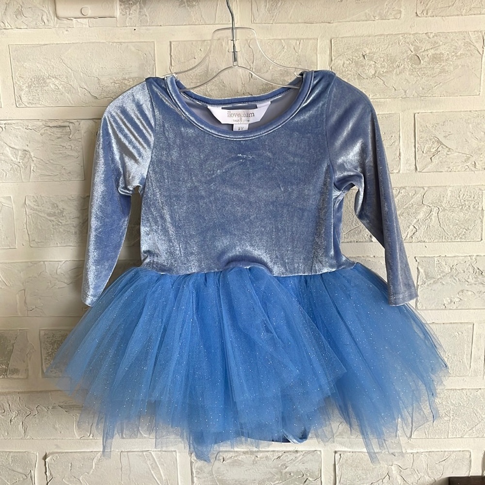 I love plum tutu blue velvet long sleeve NWT